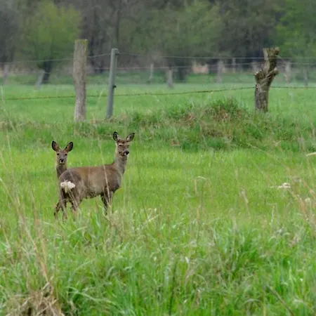 Aller Leine Tal Engehausen
