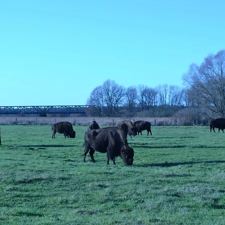 Kemp Aller Leine Tal Engehausen