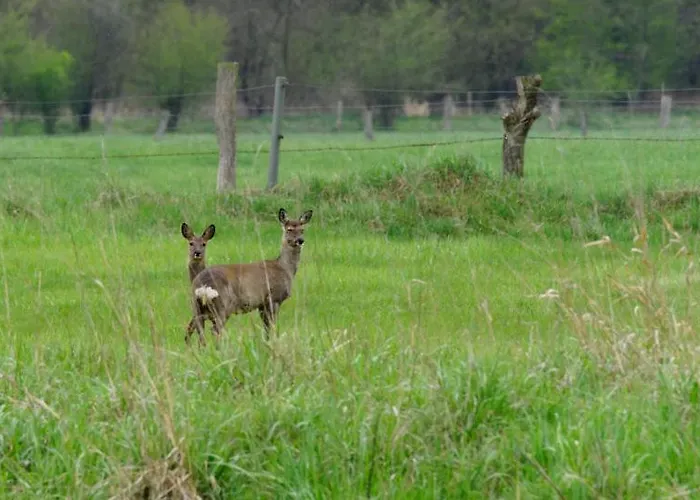 Aller Leine Tal Engehausen