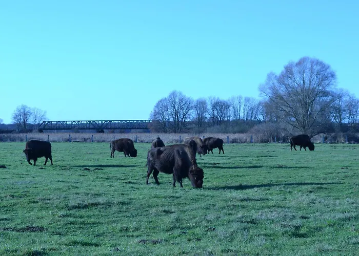 Camping Aller Leine Tal Engehausen